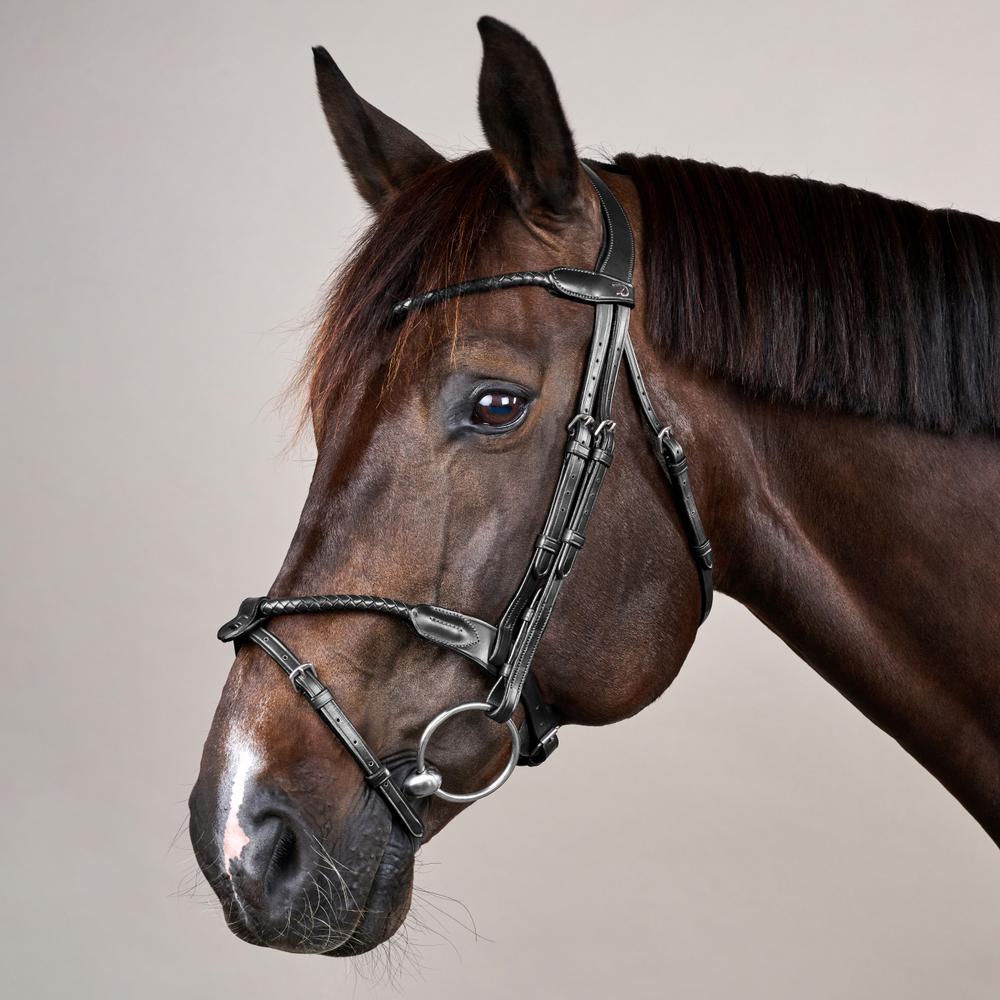 Dyon NE Träns Braided med avtagbar flash