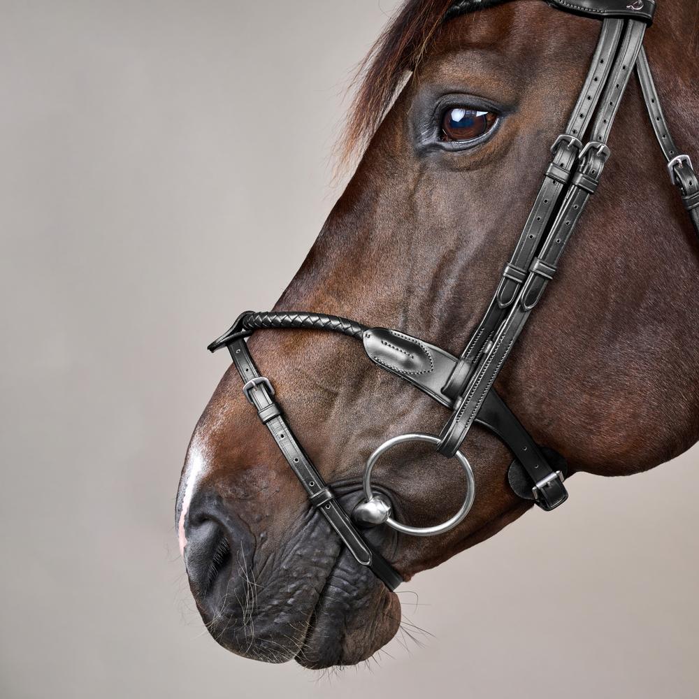 Dyon NE Träns Braided med avtagbar flash