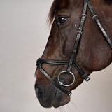 Dyon US X-Fit Träns