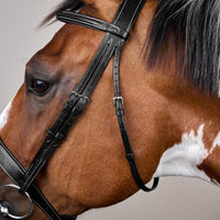 Dyon US Hunterträns bred nosgrimma