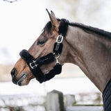Kentucky Nackstycke till Sheepskin Shipping Halter