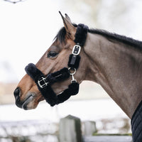 Kentucky Nackstycke till Sheepskin Shipping Halter