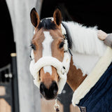Kentucky Nackstycke till Sheepskin Shipping Halter