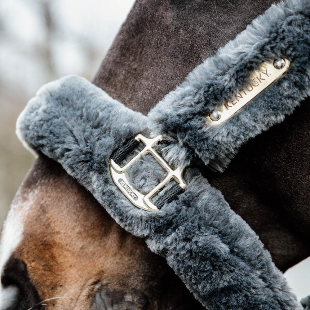 Kentucky Nackstycke till Sheepskin Shipping Halter