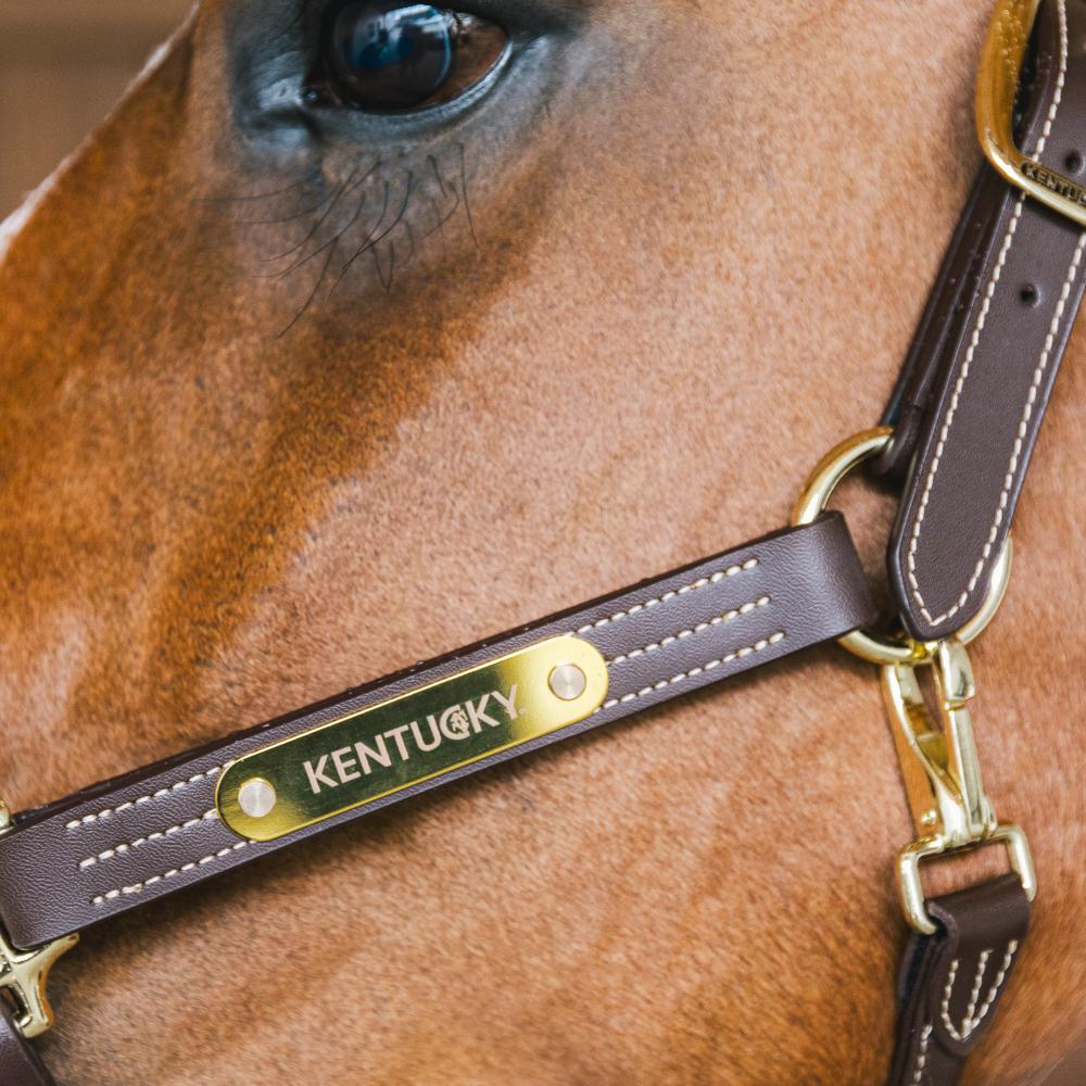 Kentucky Grimma Wellington