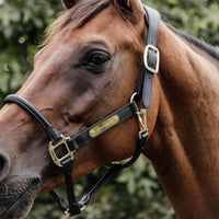 Kentucky Nackstycke till Anatomic Leather Halter