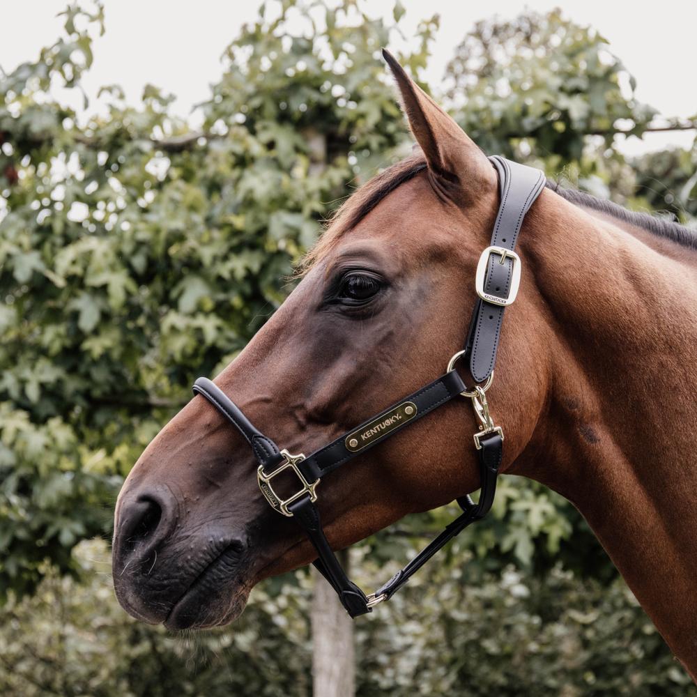 Kentucky Nackstycke till Anatomic Leather Halter