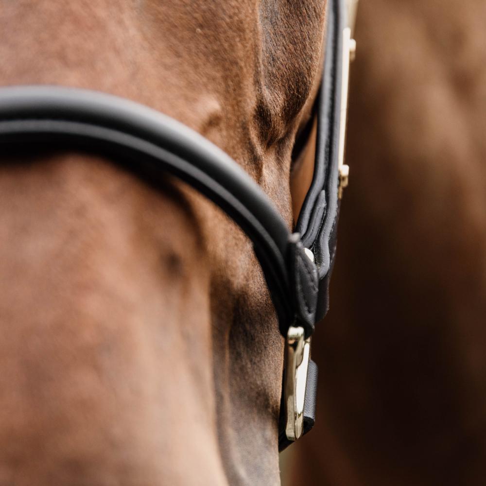 Kentucky Nackstycke till Anatomic Leather Halter