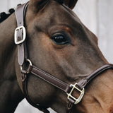 Kentucky Nackstycke till Anatomic Leather Halter