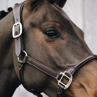 Kentucky Nackstycke till Anatomic Leather Halter