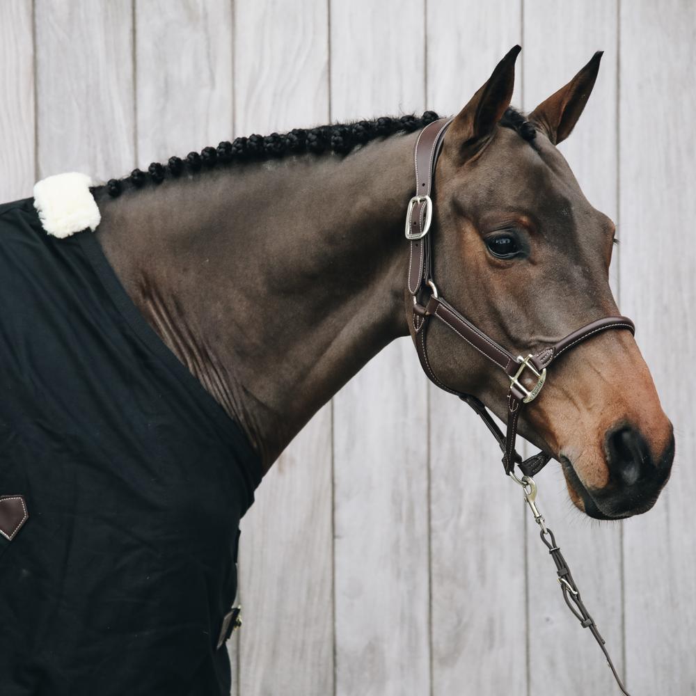 Kentucky Nackstycke till Anatomic Leather Halter