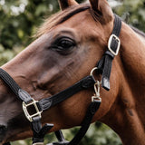 Kentucky Grimma Plaited Nylon