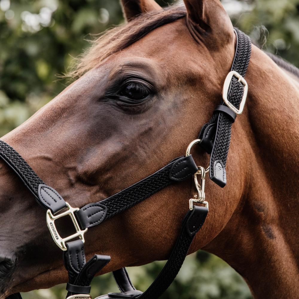 Kentucky Grimma Plaited Nylon
