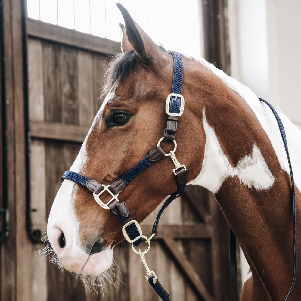 Kentucky Grimma Plaited Nylon