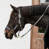 Kentucky Grimma Plaited Nylon