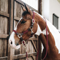 Kentucky Grimma Plaited Nylon
