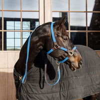 Kentucky Grimma Plaited Nylon