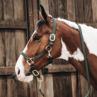 Kentucky Grimma Plaited Nylon