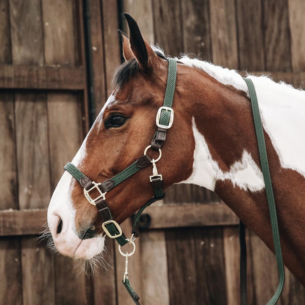 Kentucky Grimma Plaited Nylon