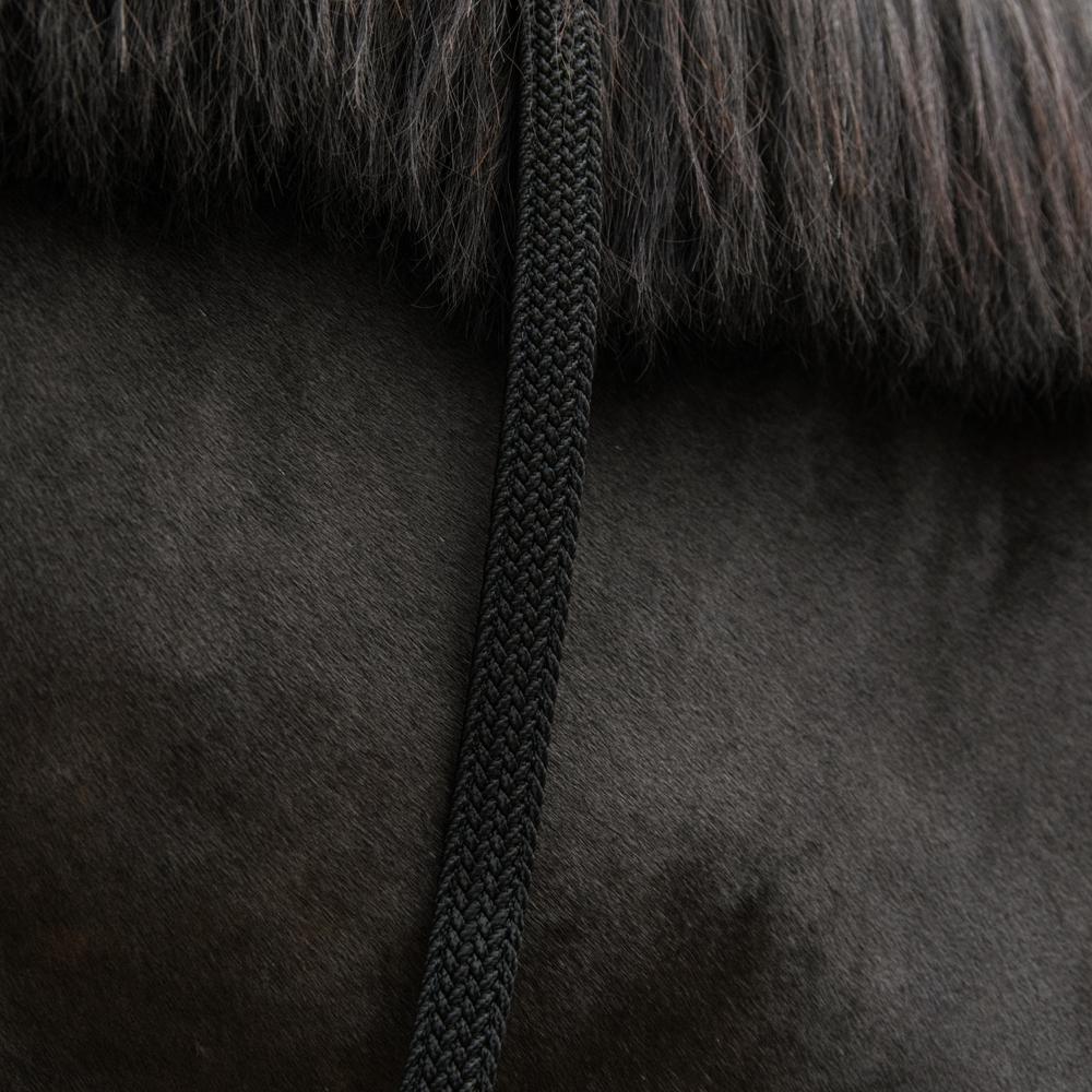 Kentucky Grimskaft Plaited Nylon