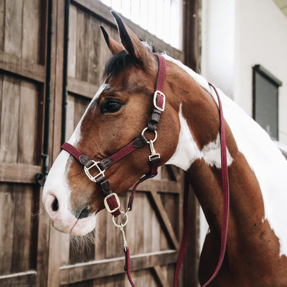 Kentucky Grimskaft Plaited Nylon