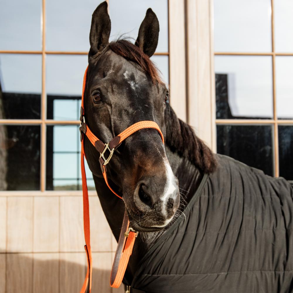 Kentucky Grimskaft Plaited Nylon