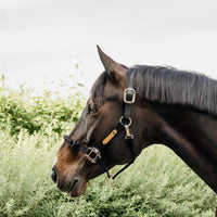 Kentucky Nackstycke till Control Halter