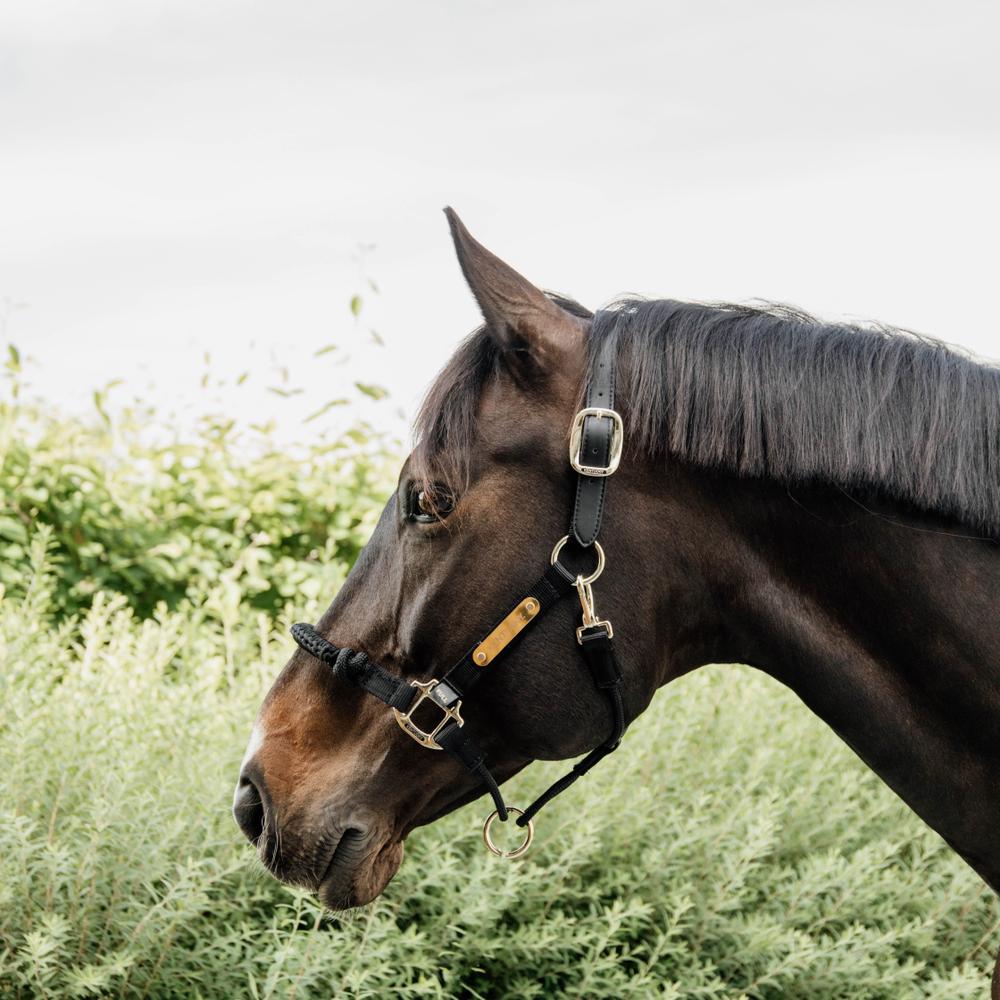 Kentucky Nackstycke till Control Halter