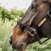 Kentucky Nackstycke till Control Halter