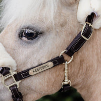 Kentucky Grimma Leather Sheepskin