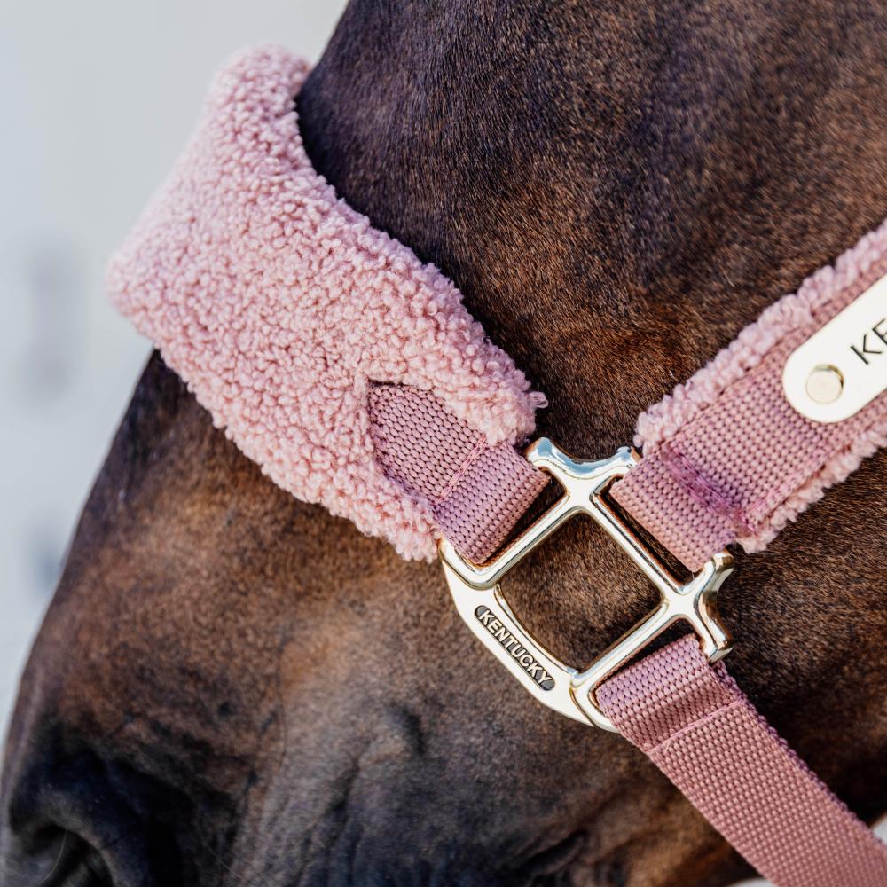 Kentucky Grimma Teddy Fleece