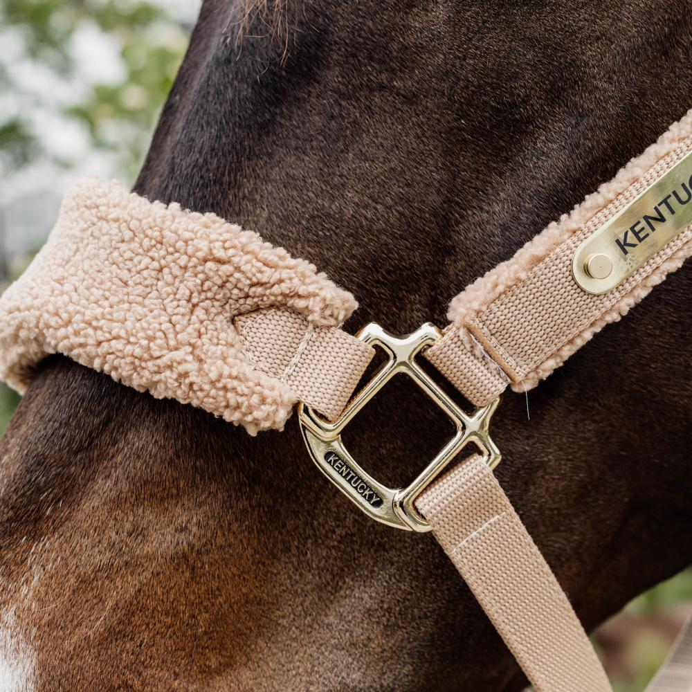 Kentucky Grimma Teddy Fleece