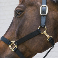 Kentucky Nackstycke till Nylon Halter Breakaway