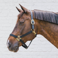 Kentucky Nackstycke till Nylon Halter Breakaway