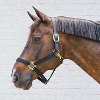 Kentucky Nackstycke till Nylon Halter Breakaway