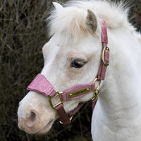Kentucky Grimma Velvet Unicorn Glitter