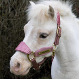 Kentucky Grimma Velvet Unicorn Glitter