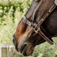Kentucky Grimma Leather Flexible