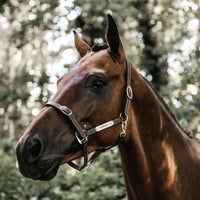 Kentucky Grimma Leather Flexible
