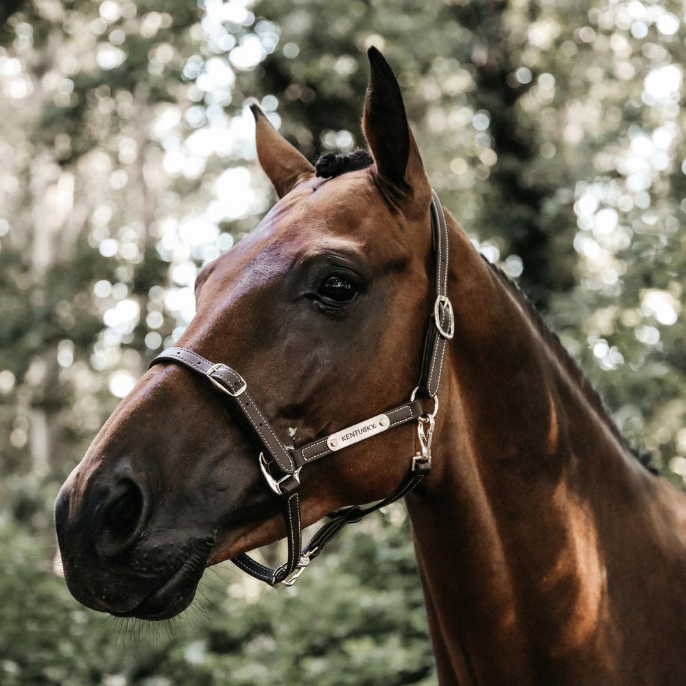 Kentucky Grimma Leather Flexible