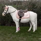 Kentucky Schabrak Unicorn Glitter