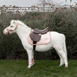 Kentucky Schabrak Unicorn Glitter