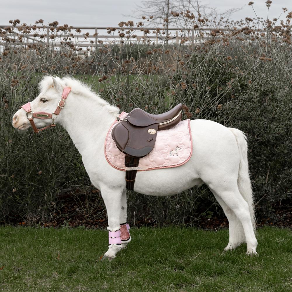 Kentucky Schabrak Unicorn Glitter