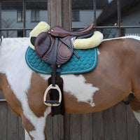 Kentucky Sadelpadd Absorb Sheepskin