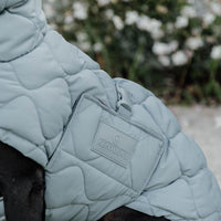 Kentucky Hundtäcke Winter Pina