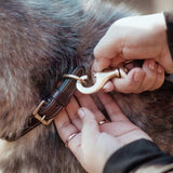 Dyon Hundkoppel Classic