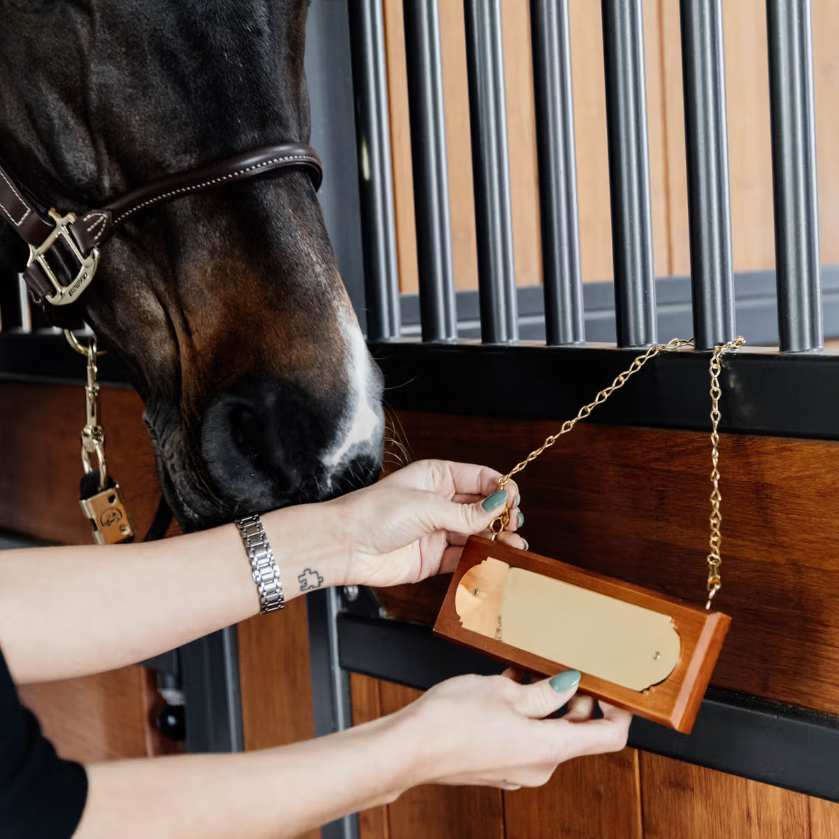 Grooming Deluxe Stable name hanger