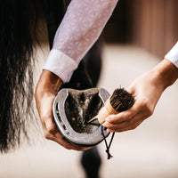 Grooming Deluxe Hovkrats Small