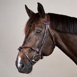 Dyon NE Träns Braided med avtagbar flash