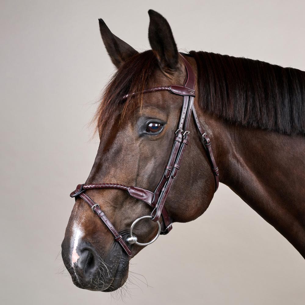 Dyon NE Träns Braided med avtagbar flash